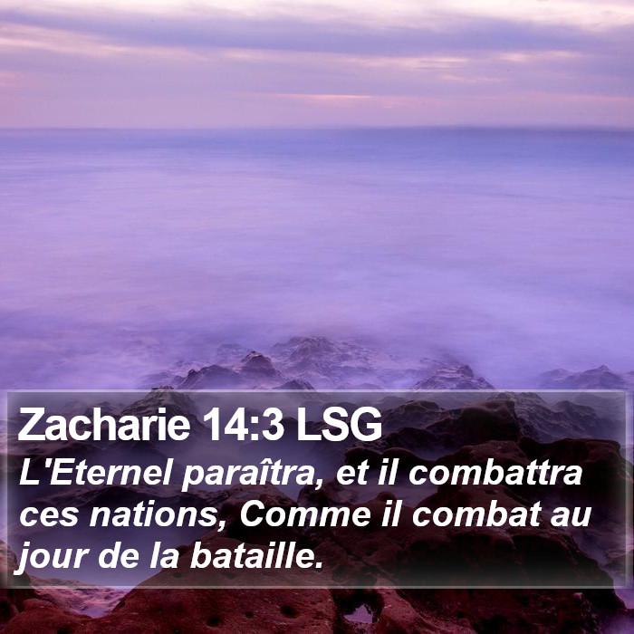 Zacharie 14:3 LSG Bible Study