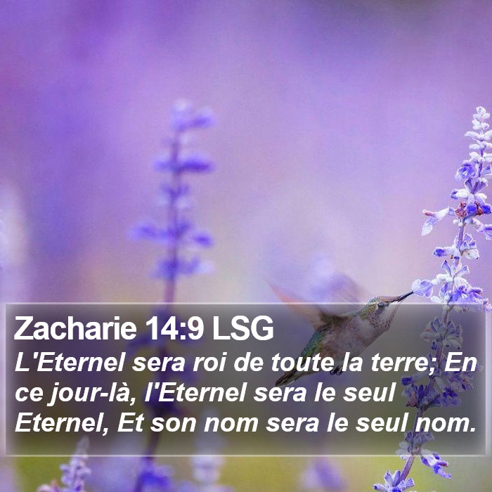Zacharie 14:9 LSG Bible Study