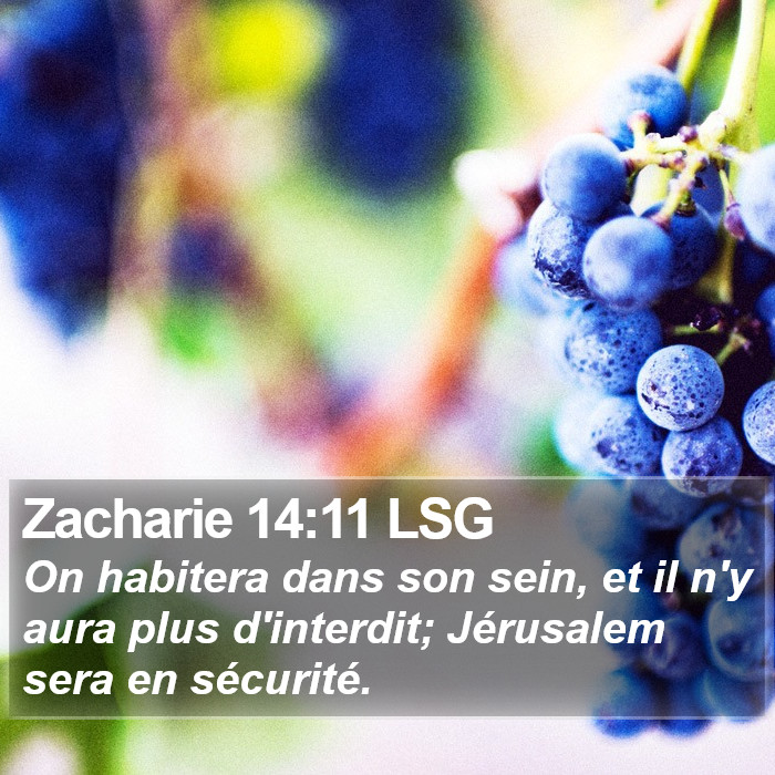 Zacharie 14:11 LSG Bible Study