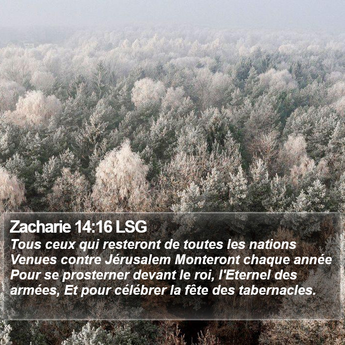Zacharie 14:16 LSG Bible Study