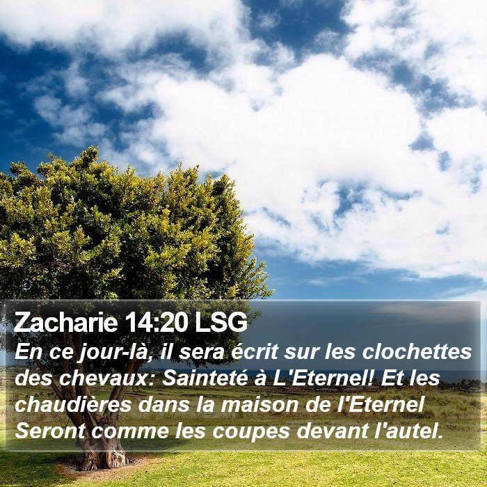 Zacharie 14:20 LSG Bible Study