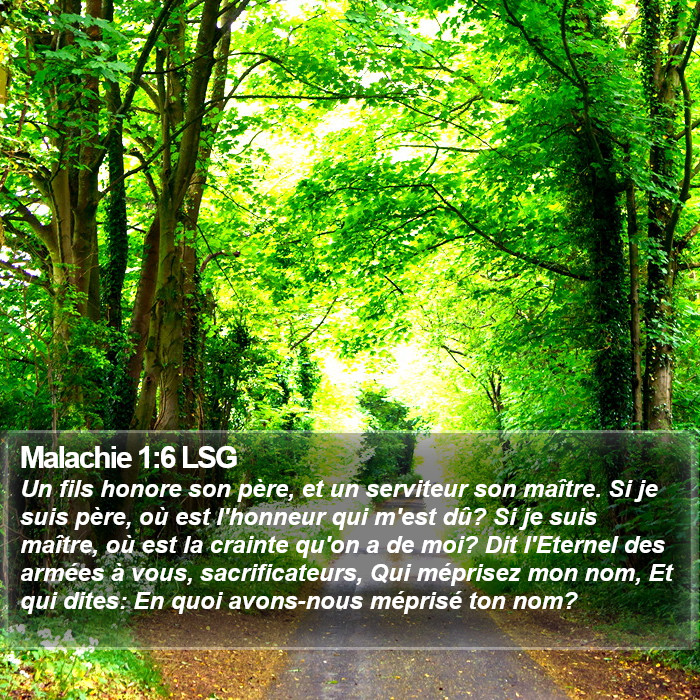 Malachie 1:6 LSG Bible Study