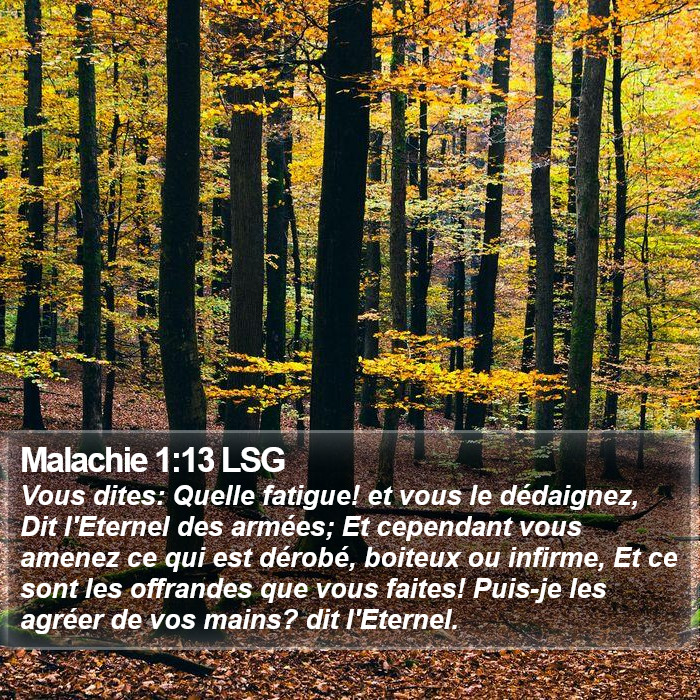 Malachie 1:13 LSG Bible Study