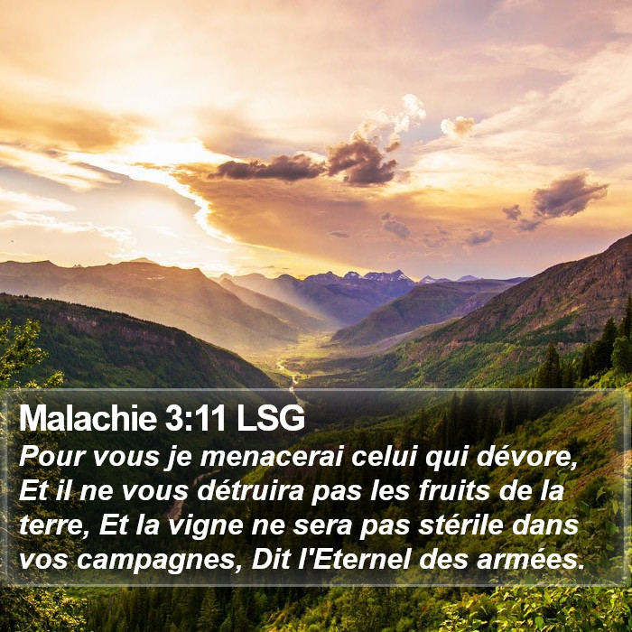 Malachie 3:11 LSG Bible Study