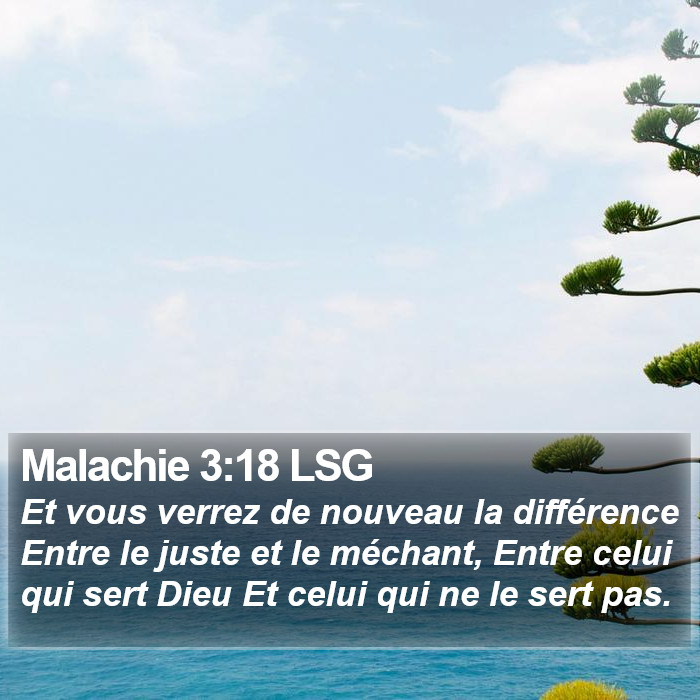 Malachie 3:18 LSG Bible Study