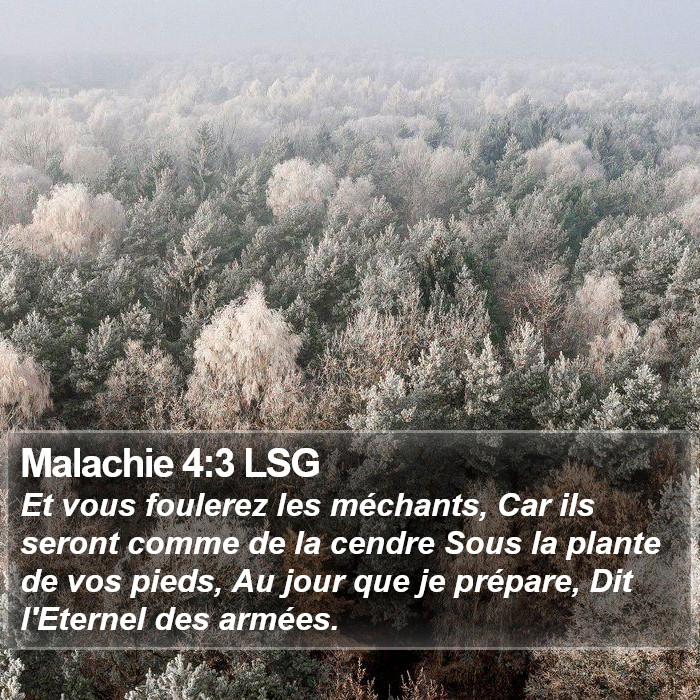 Malachie 4:3 LSG Bible Study