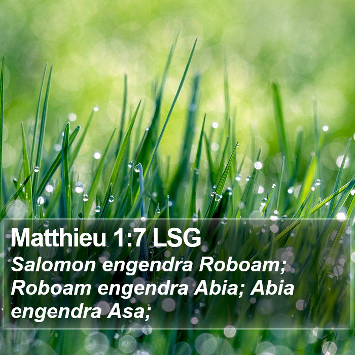 Matthieu 1:7 LSG Bible Study