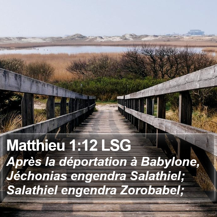 Matthieu 1:12 LSG Bible Study