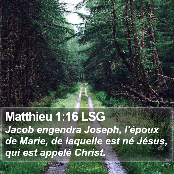 Matthieu 1:16 LSG Bible Study