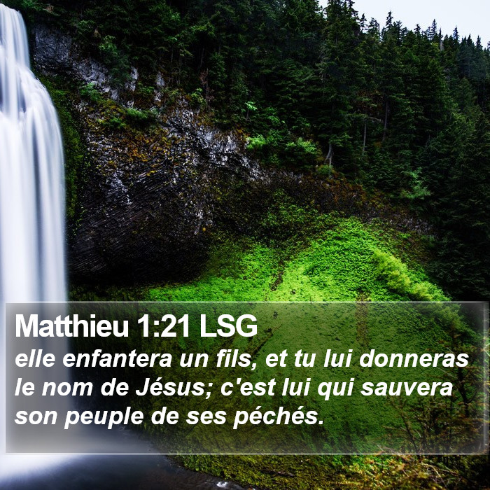 Matthieu 1:21 LSG Bible Study