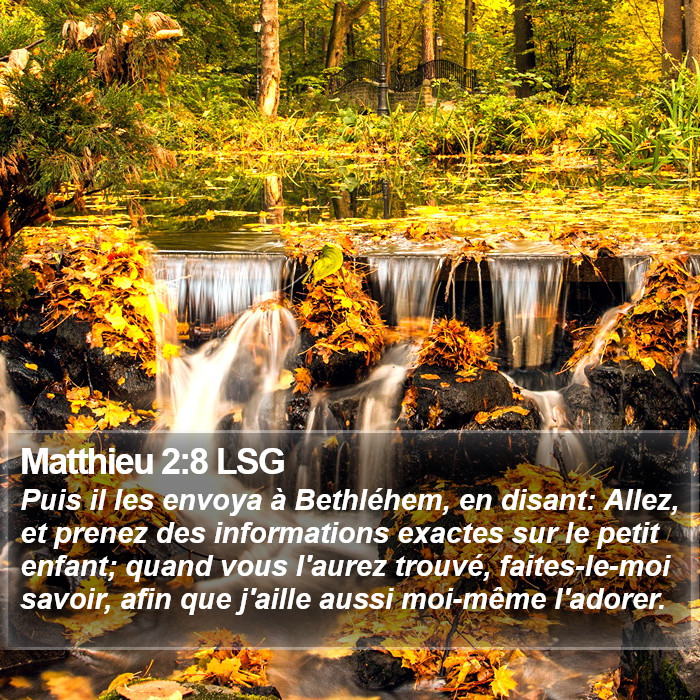 Matthieu 2:8 LSG Bible Study