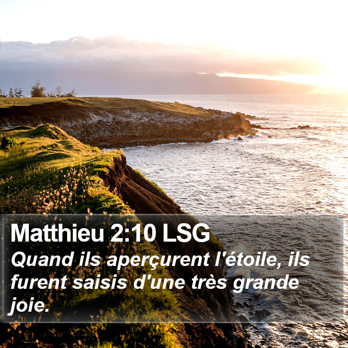 Matthieu 2:10 LSG Bible Study