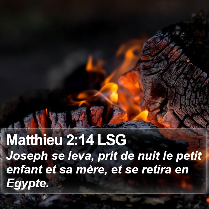 Matthieu 2:14 LSG Bible Study