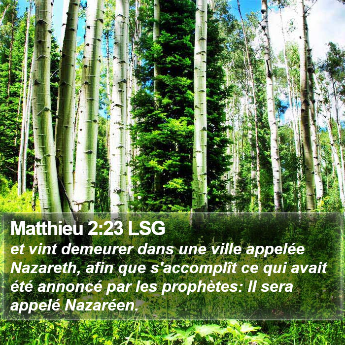 Matthieu 2:23 LSG Bible Study