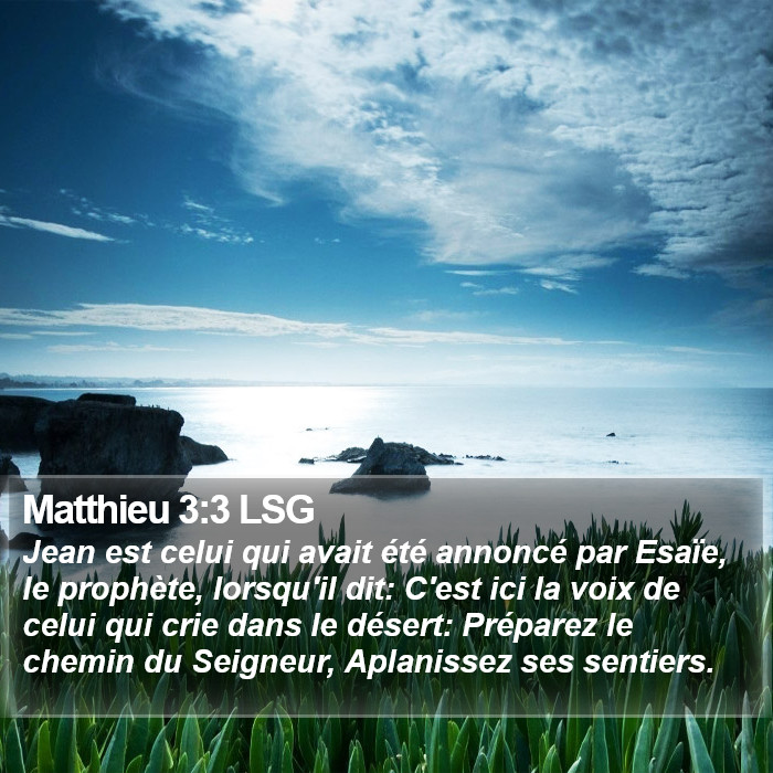 Matthieu 3:3 LSG Bible Study