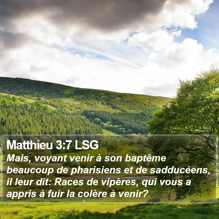 Matthieu 3:7 LSG Bible Study