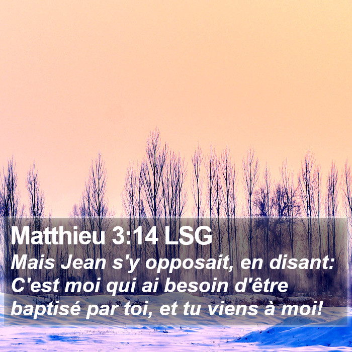 Matthieu 3:14 LSG Bible Study