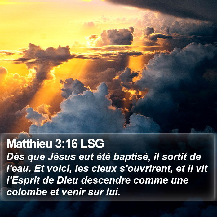 Matthieu 3:16 LSG Bible Study