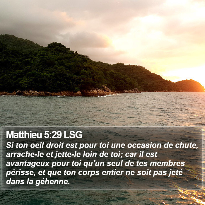 Matthieu 5:29 LSG Bible Study