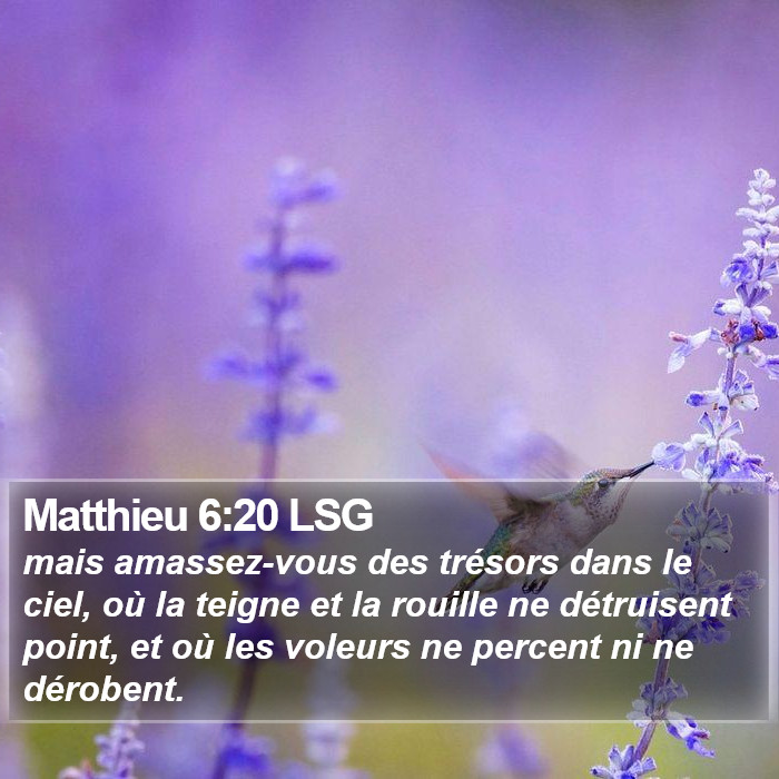 Matthieu 6:20 LSG Bible Study