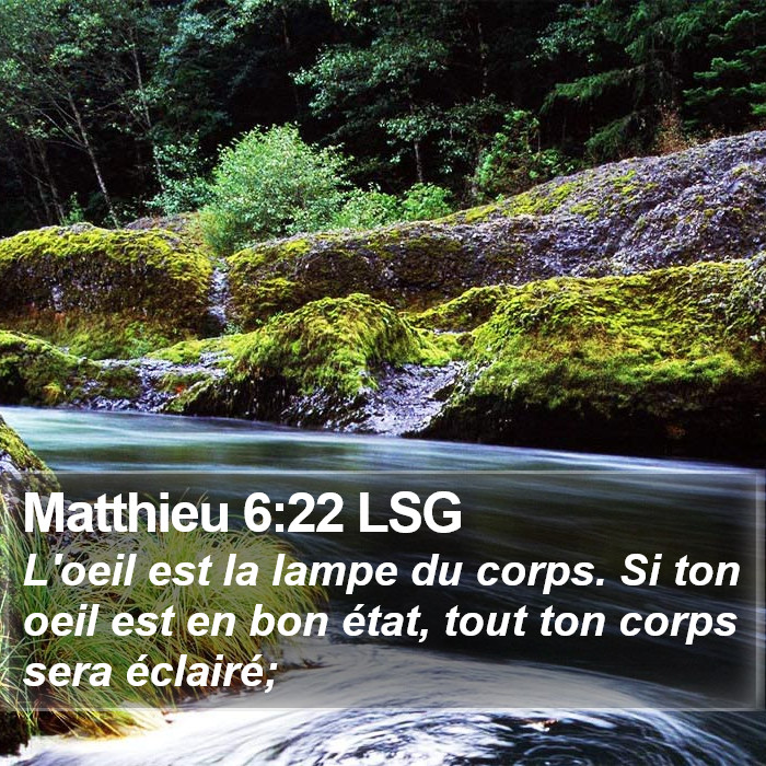 Matthieu 6:22 LSG Bible Study