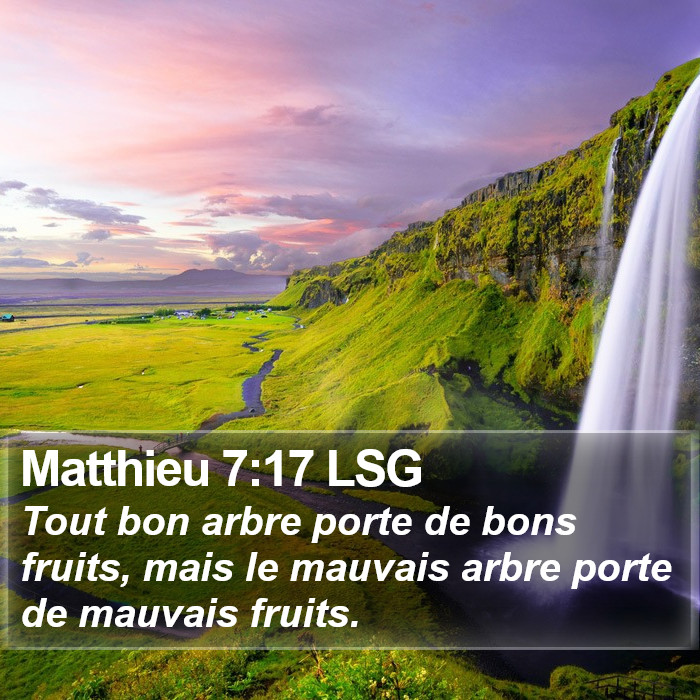 Matthieu 7:17 LSG Bible Study