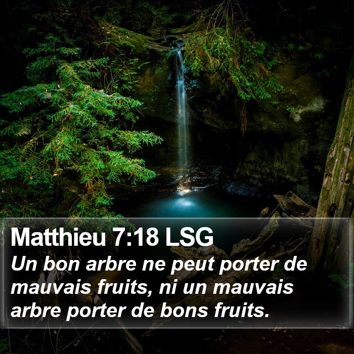 Matthieu 7:18 LSG Bible Study