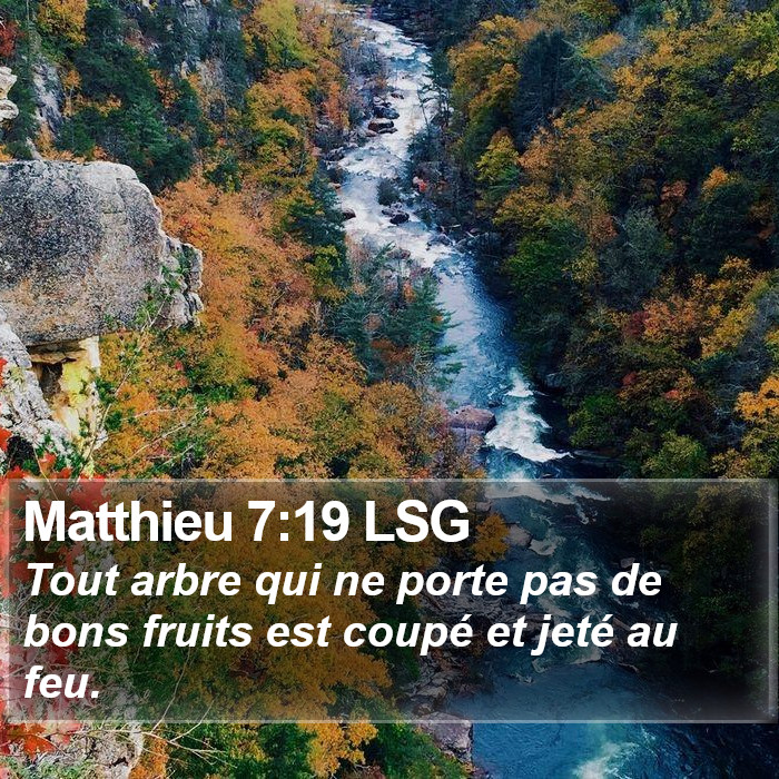 Matthieu 7:19 LSG Bible Study
