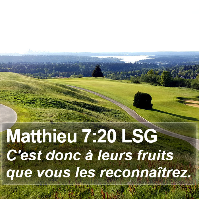 Matthieu 7:20 LSG Bible Study