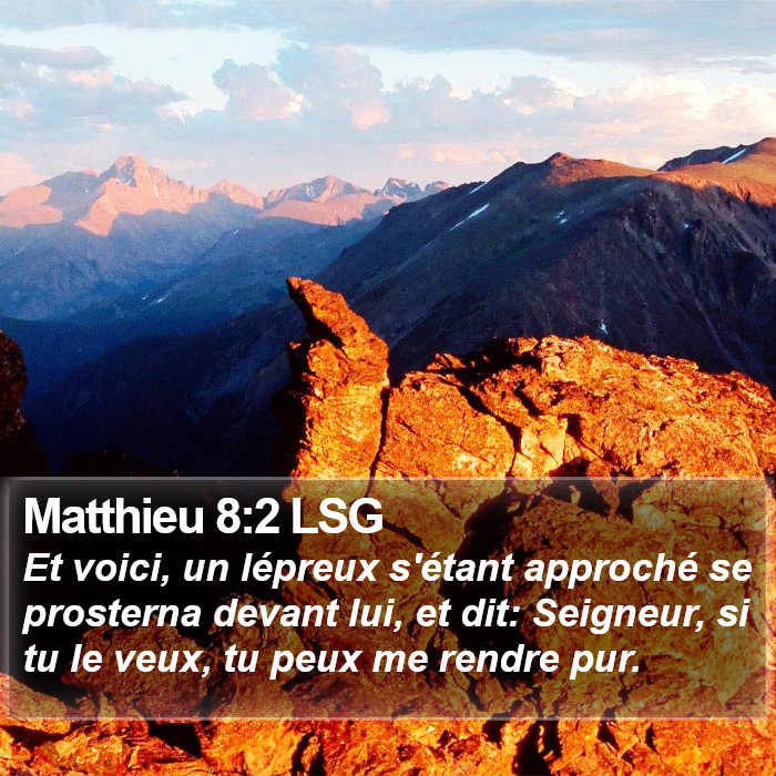 Matthieu 8:2 LSG Bible Study