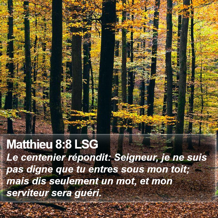 Matthieu 8:8 LSG Bible Study