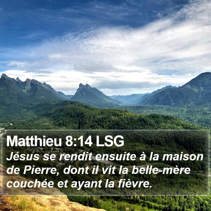 Matthieu 8:14 LSG Bible Study