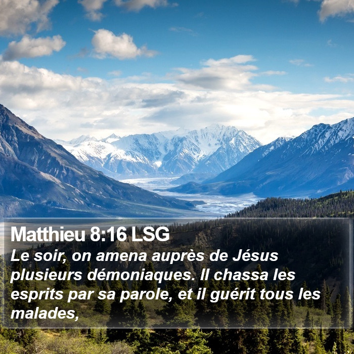 Matthieu 8:16 LSG Bible Study