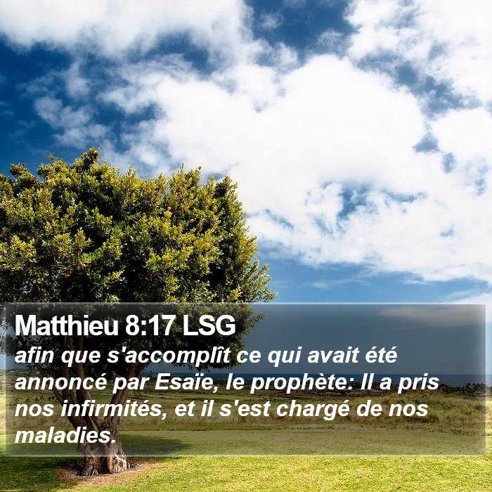 Matthieu 8:17 LSG Bible Study