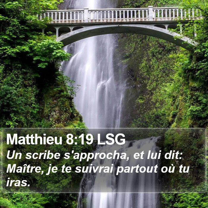 Matthieu 8:19 LSG Bible Study