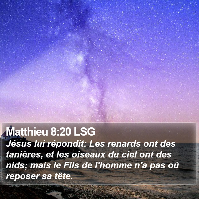 Matthieu 8:20 LSG Bible Study