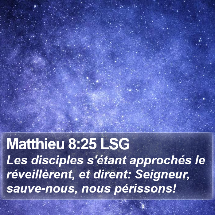 Matthieu 8:25 LSG Bible Study