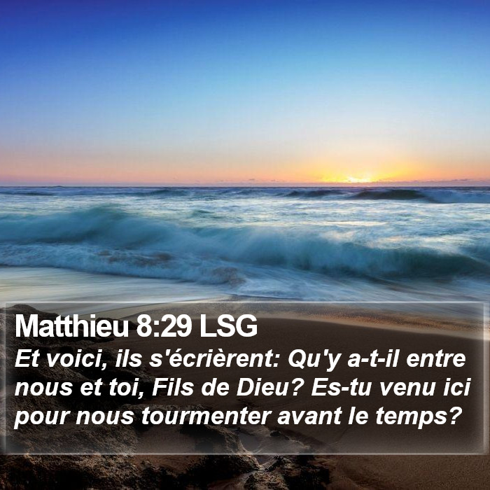 Matthieu 8:29 LSG Bible Study