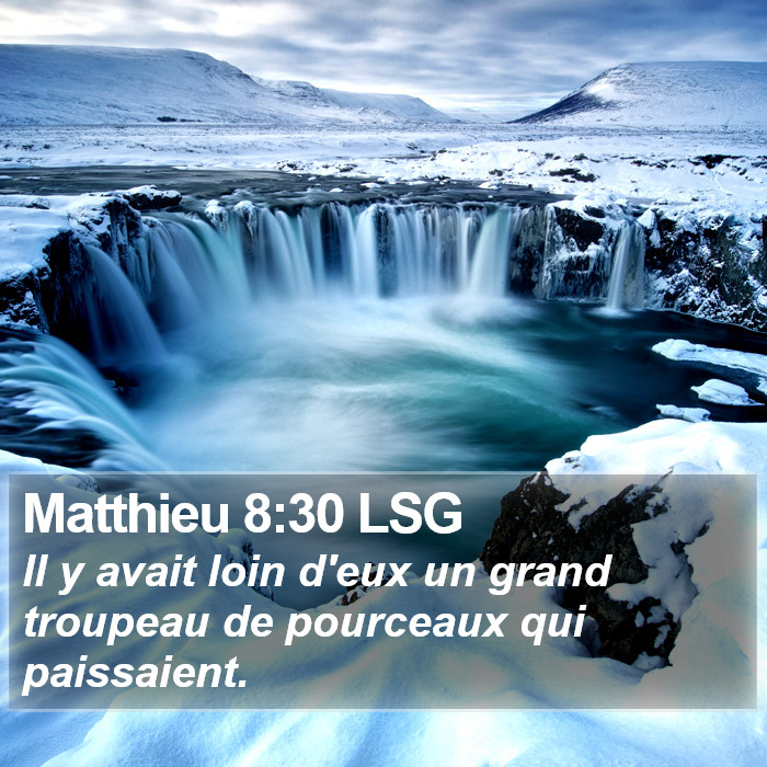 Matthieu 8:30 LSG Bible Study