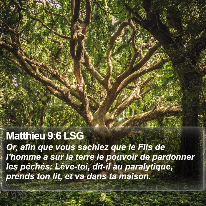 Matthieu 9:6 LSG Bible Study
