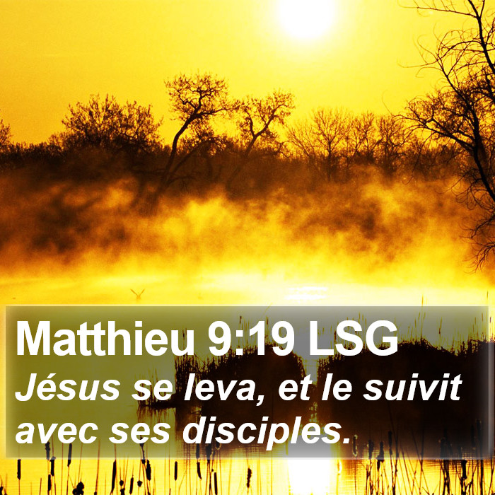 Matthieu 9:19 LSG Bible Study