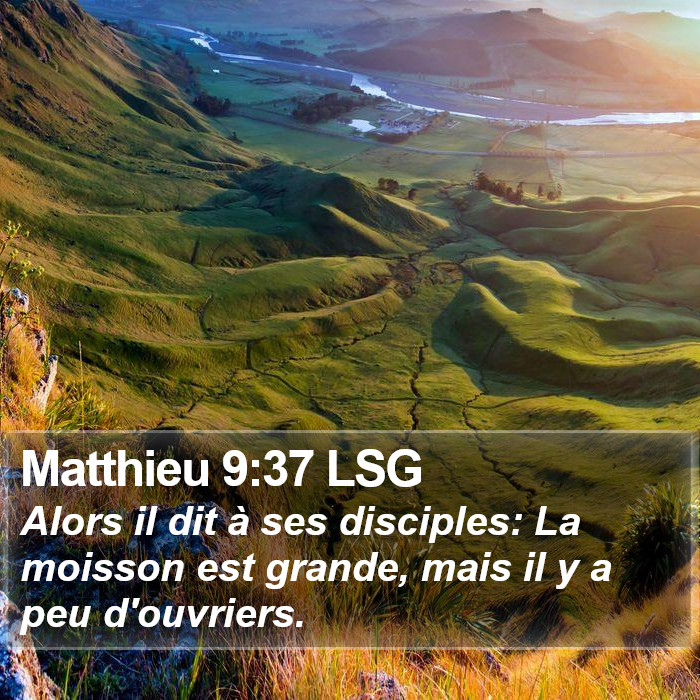 Matthieu 9:37 LSG Bible Study