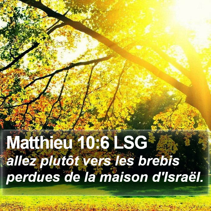 Matthieu 10:6 LSG Bible Study