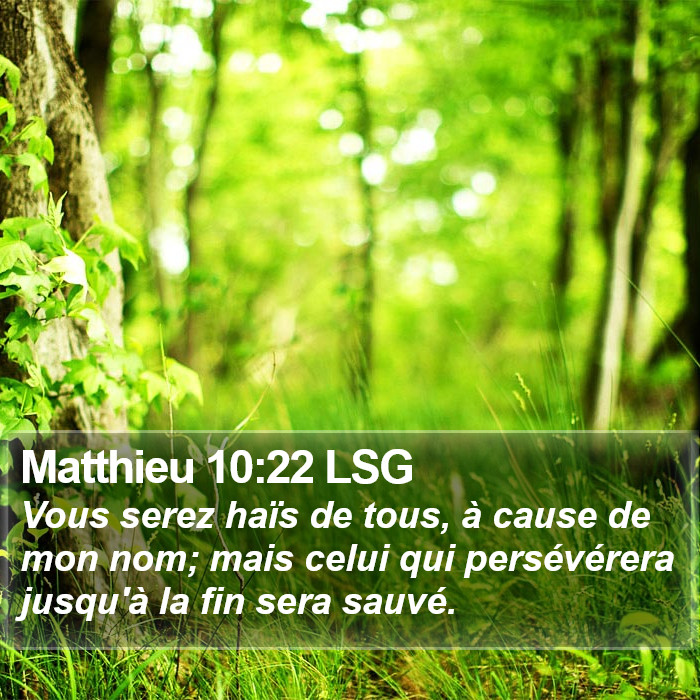Matthieu 10:22 LSG Bible Study