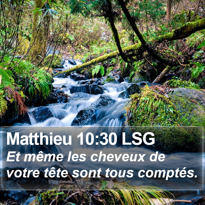 Matthieu 10:30 LSG Bible Study