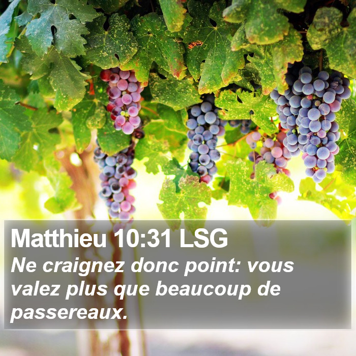 Matthieu 10:31 LSG Bible Study