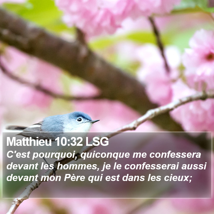 Matthieu 10:32 LSG Bible Study