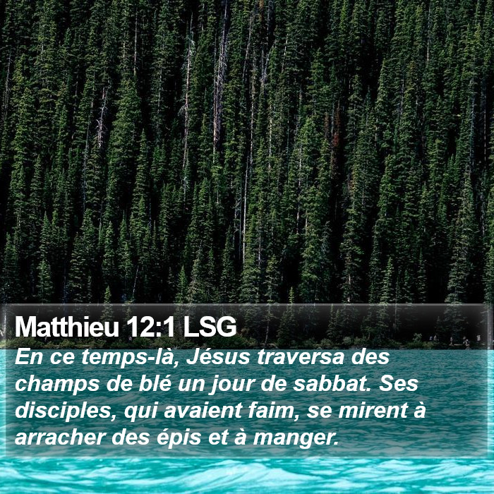 Matthieu 12:1 LSG Bible Study