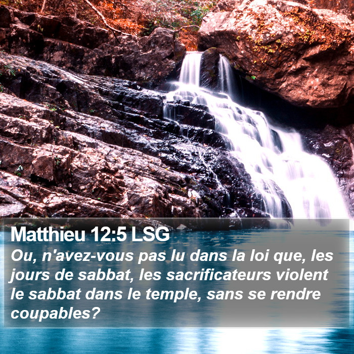 Matthieu 12:5 LSG Bible Study