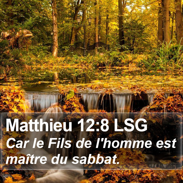 Matthieu 12:8 LSG Bible Study